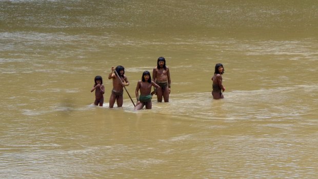 indigenas aislamiento Noticia 790665