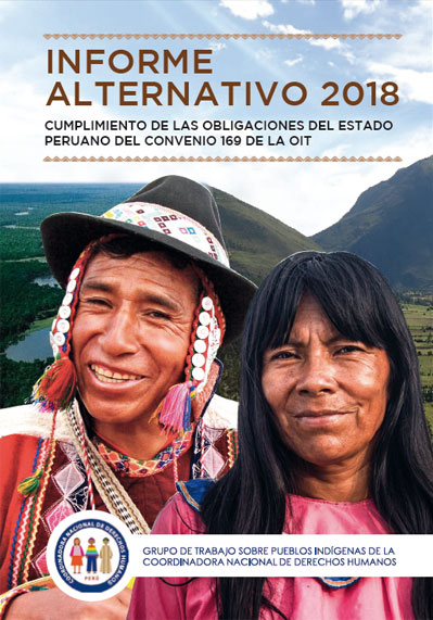 informe alternativo 2018 caratula