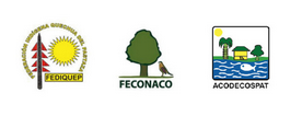 logos federaciones